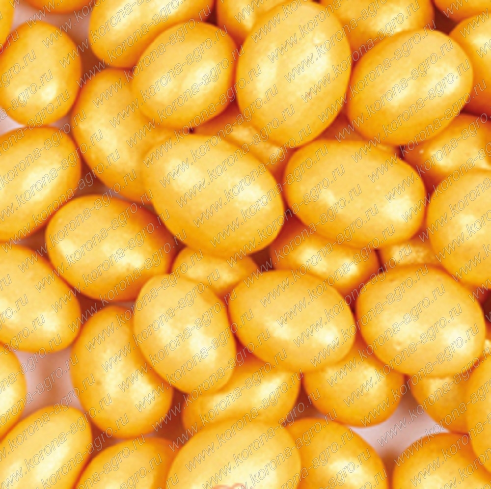 картинка Украшение шоколадное ЭЛИПС КРИСПИ золото, 1,75кг для кондитеров и пекарей  от магазина Корона агро